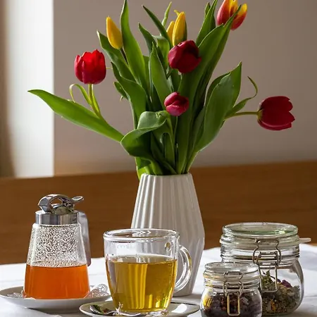 Homestay Hisa Na Vrtu *