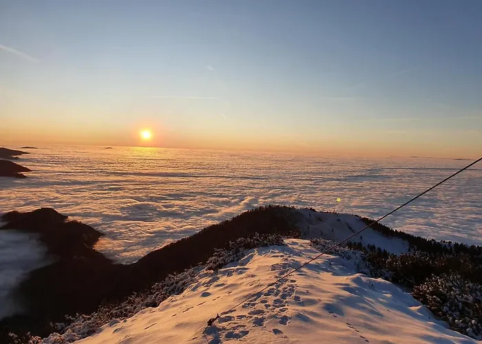 Проживание в семье Hisa Na Vrtu